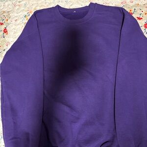 Hanes Men's Rich Purple Crewneck Sweater